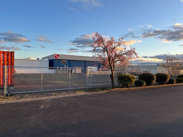 The image shows an industrial building with a blue metal facade, a chain-link fence, and a flowering tree in the foreground.