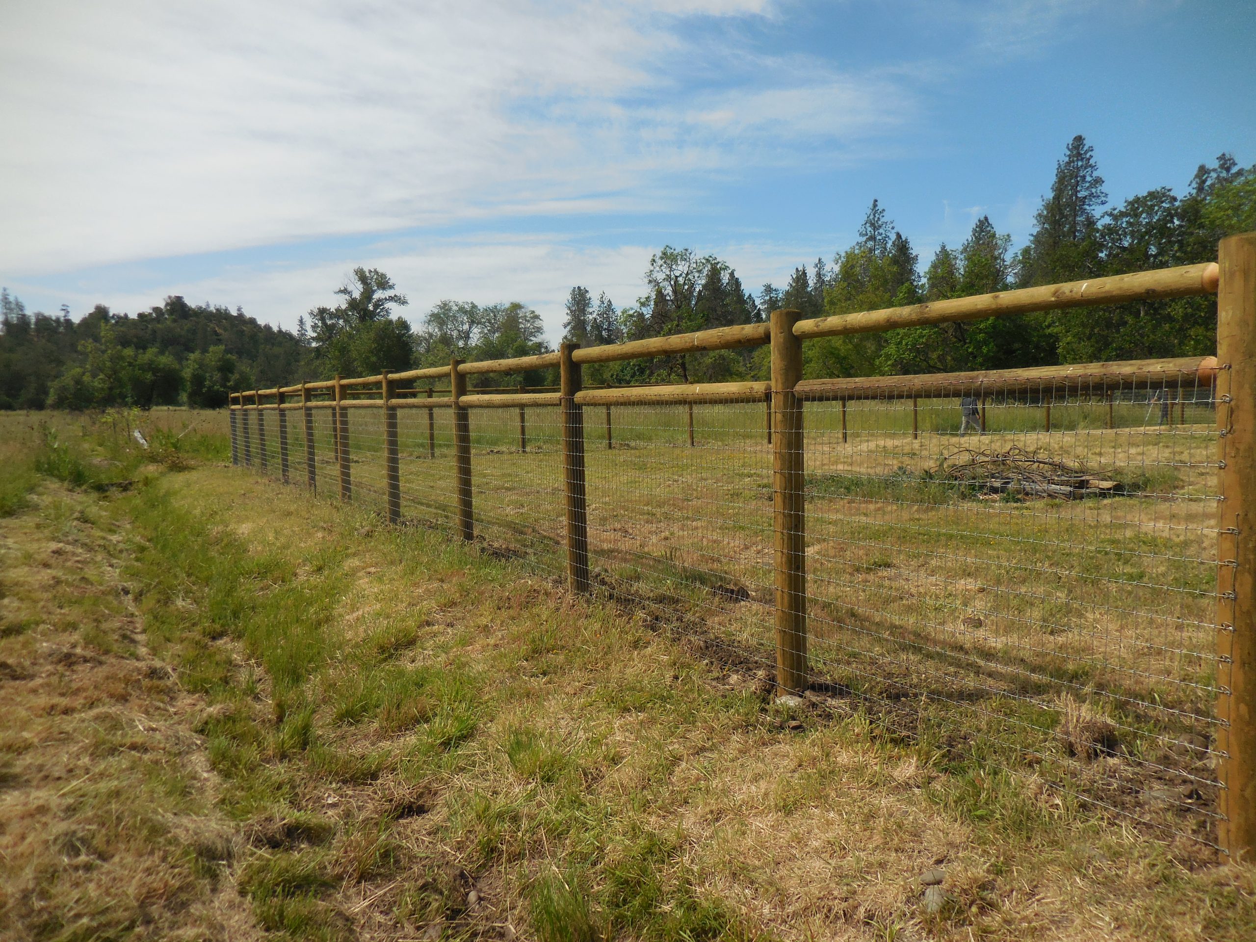 The image shows a wooden post-and-rail fence combined with a woven wire mesh (field fence) in a grassy field.