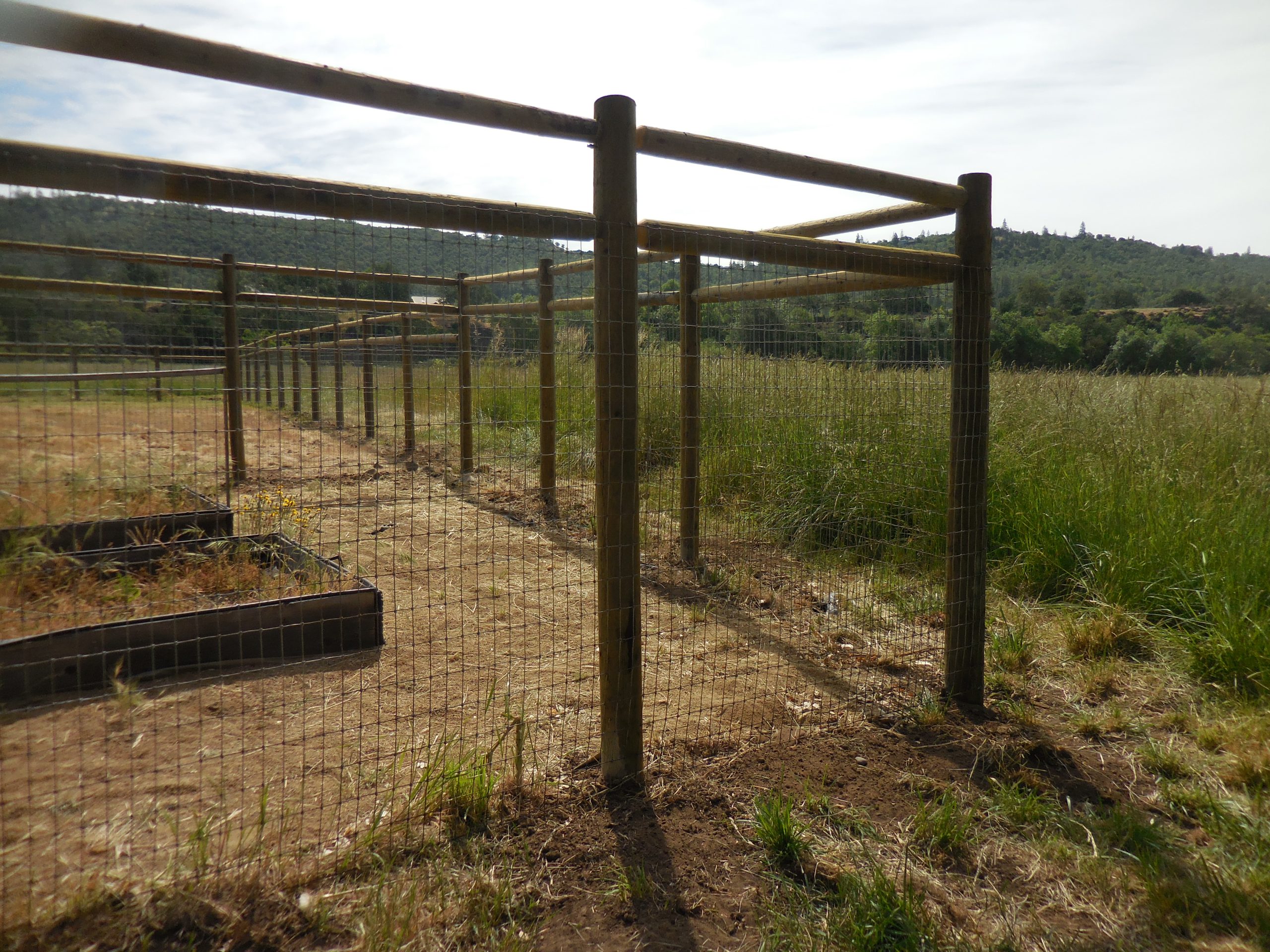 Rural fence line with treated posts and field wire in Southern Oregon
