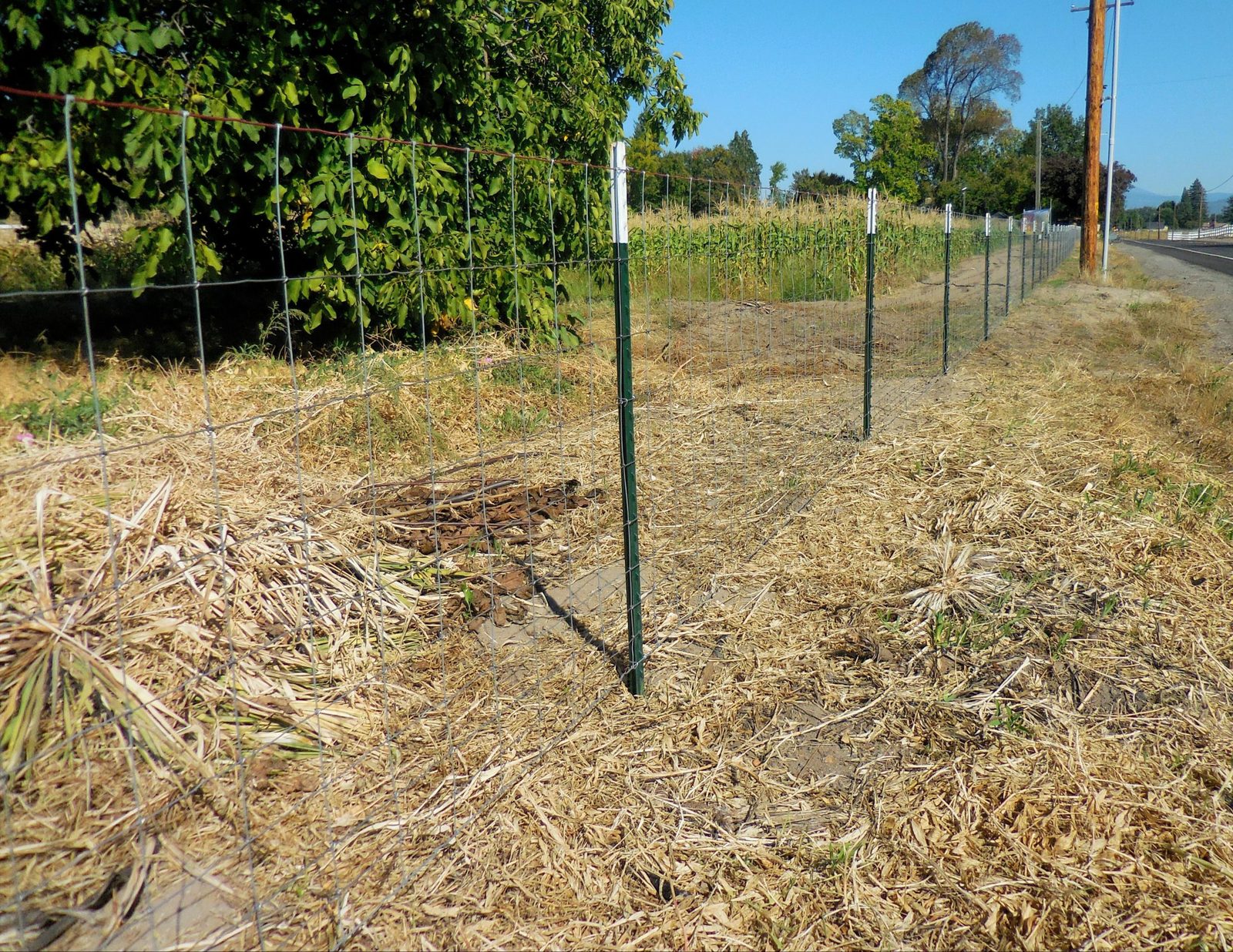 47 Field Fence with Heavy Duty T-Posts
