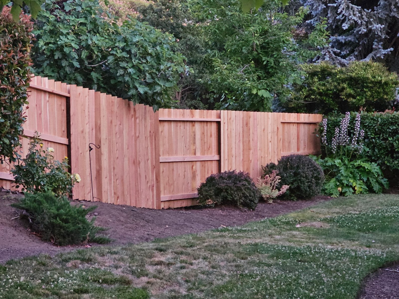 6' High Good Neighbor Alternating Panel Cedar Fencing
