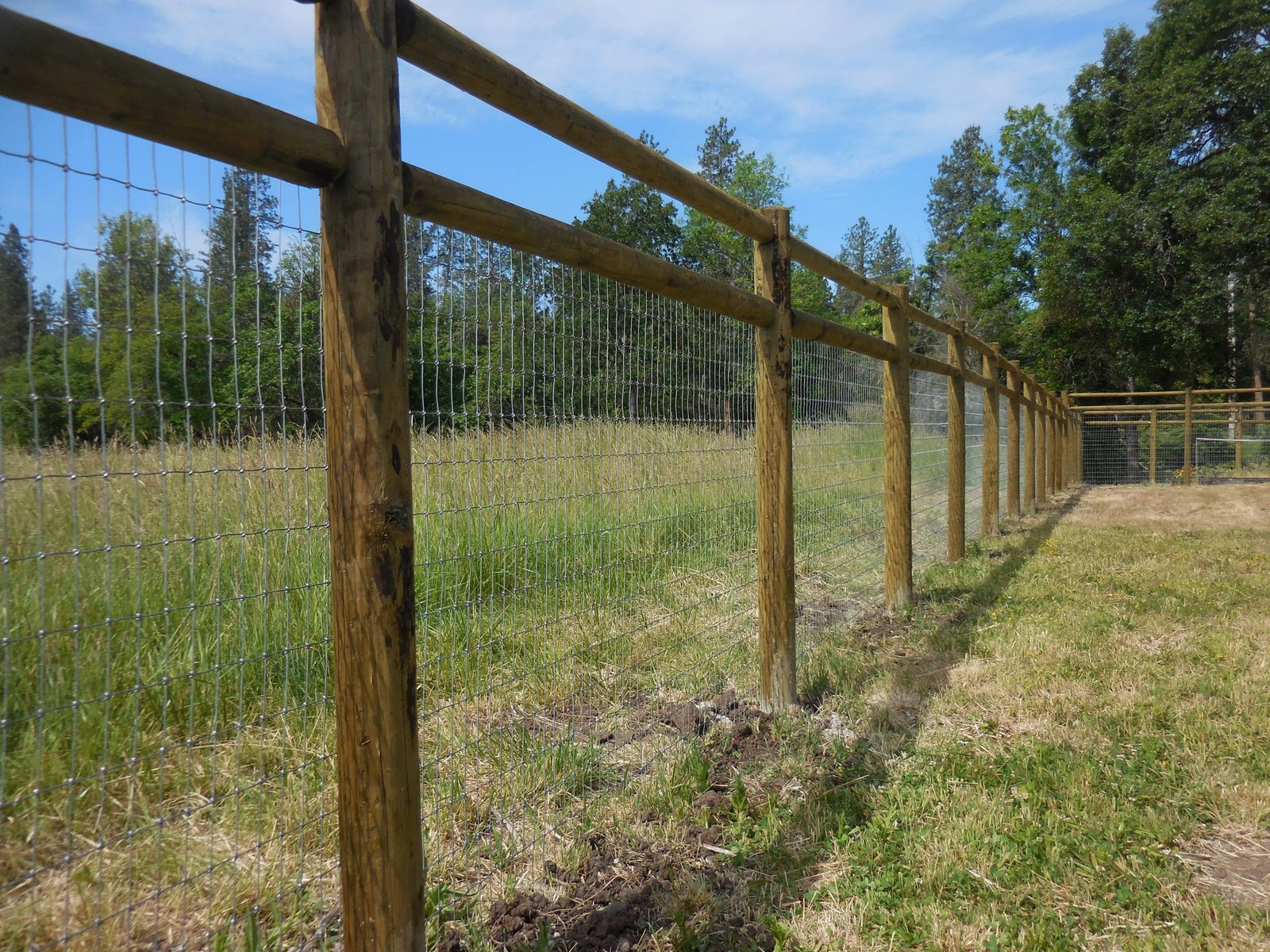 6' High Post-N-Rail Fencing with Non-Climb Fabric & Treated Douglas Fir Posts