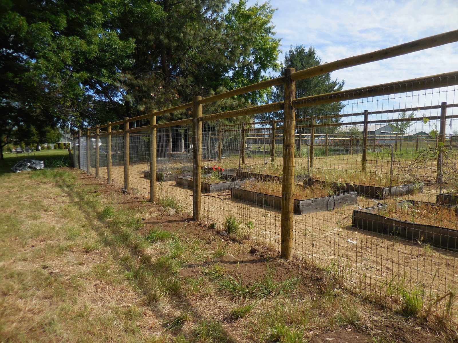 6' High Post-N-Rail Fencing with Non-Climb Wire & CAC Treated Douglas Fir Posts