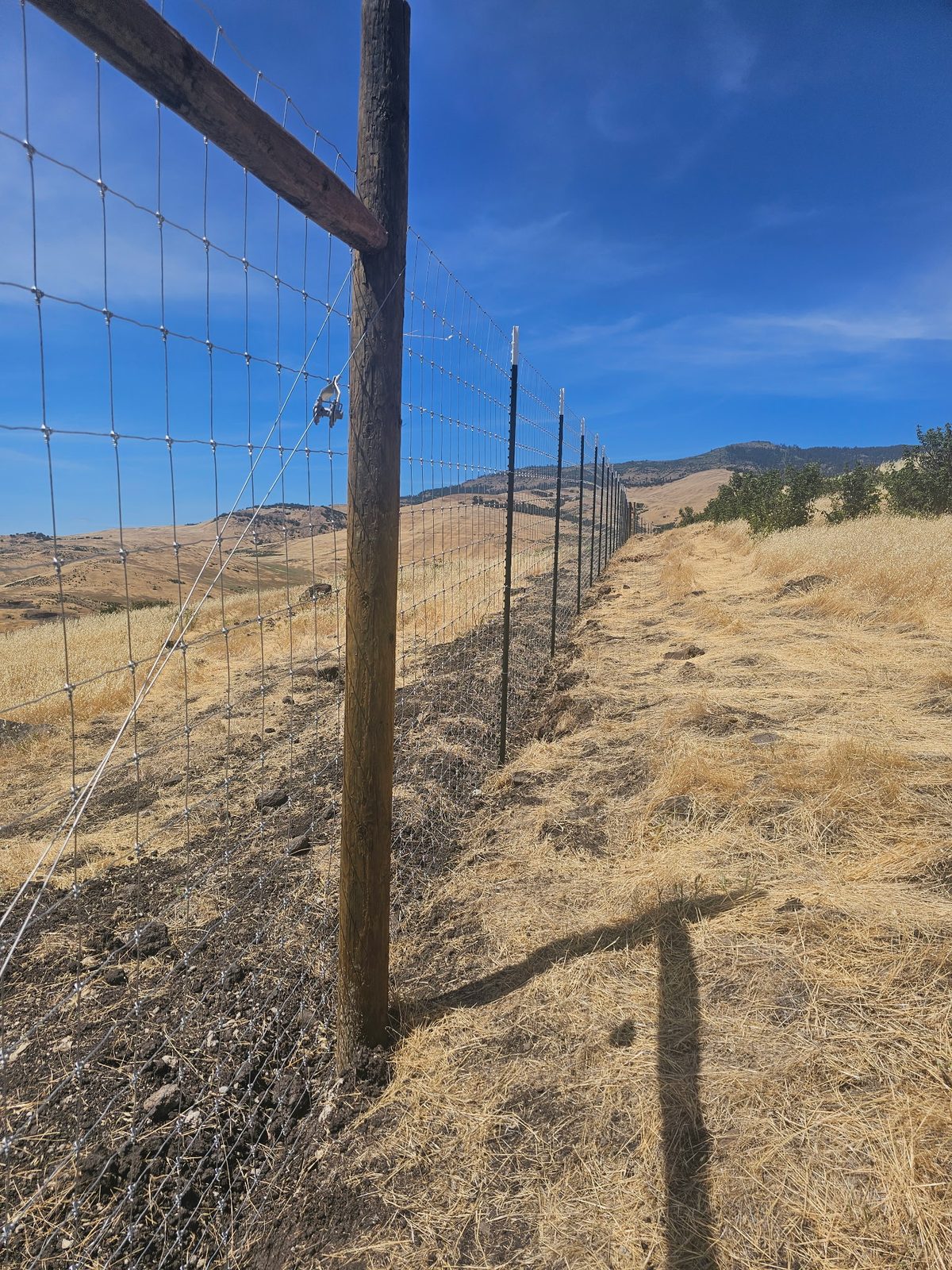 8' High Game Fence