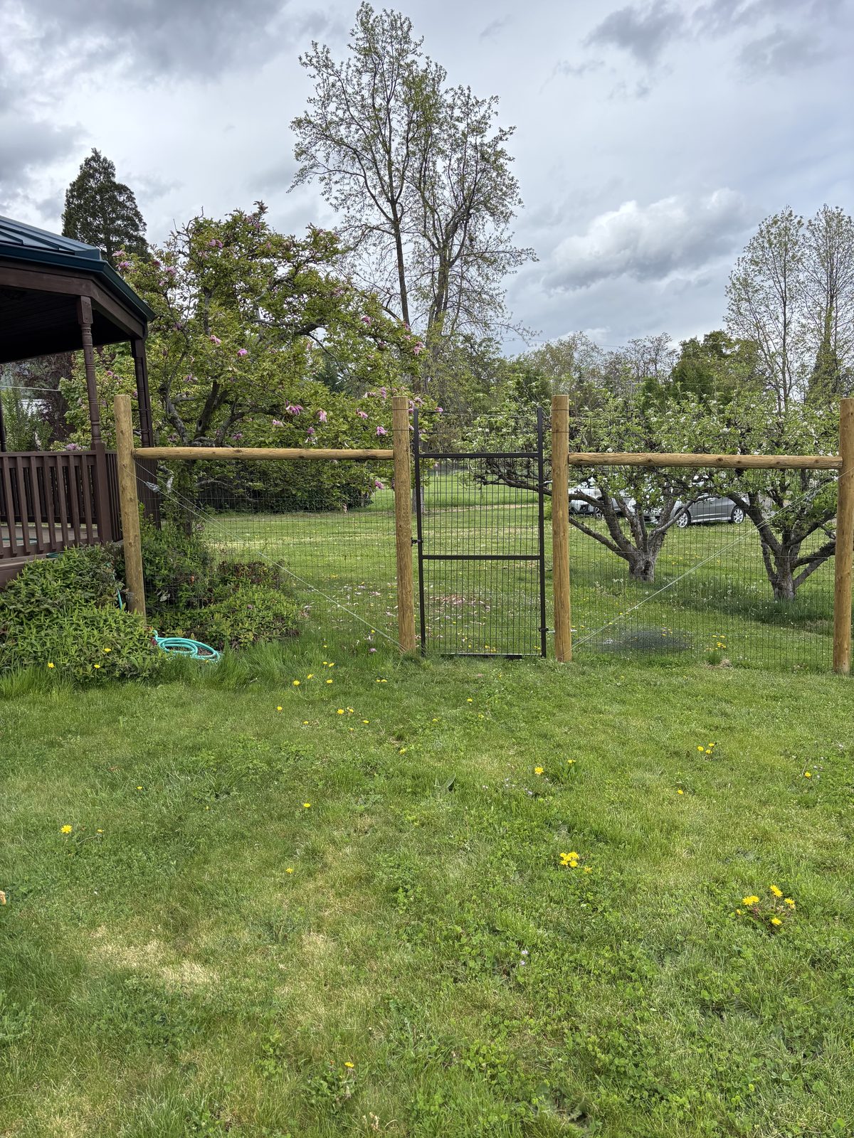 Black 2x4 Non-Climb Mesh on Treated Posts with Powder Coated Gate to Match