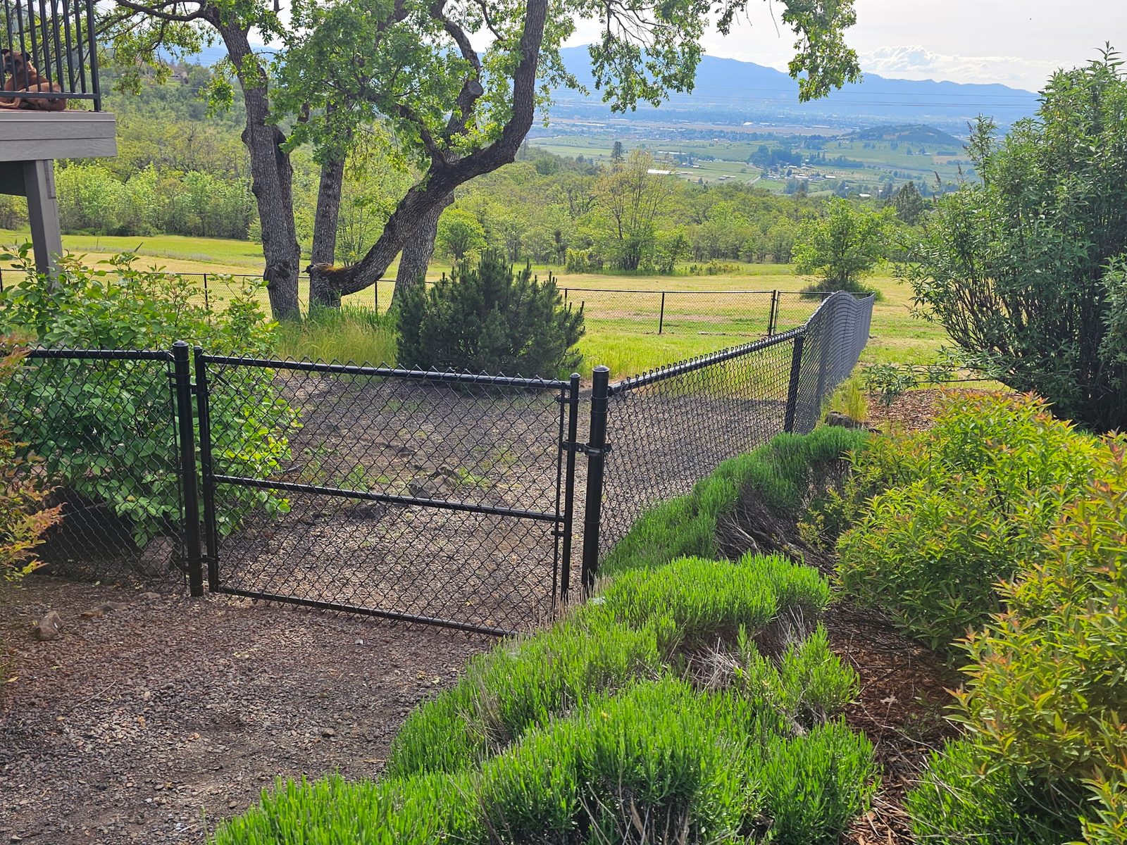 Black Vinyl Chain Link Fence with Powder Coated Framework & Walk Gate