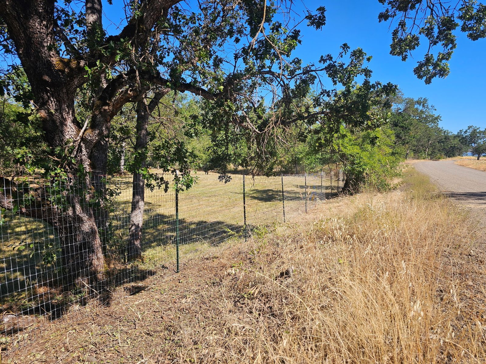 Horse Fencing