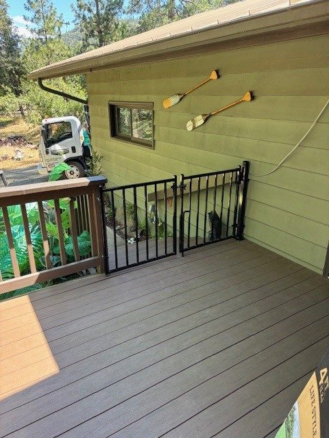 Ornamental Iron Gates for Dog Safety