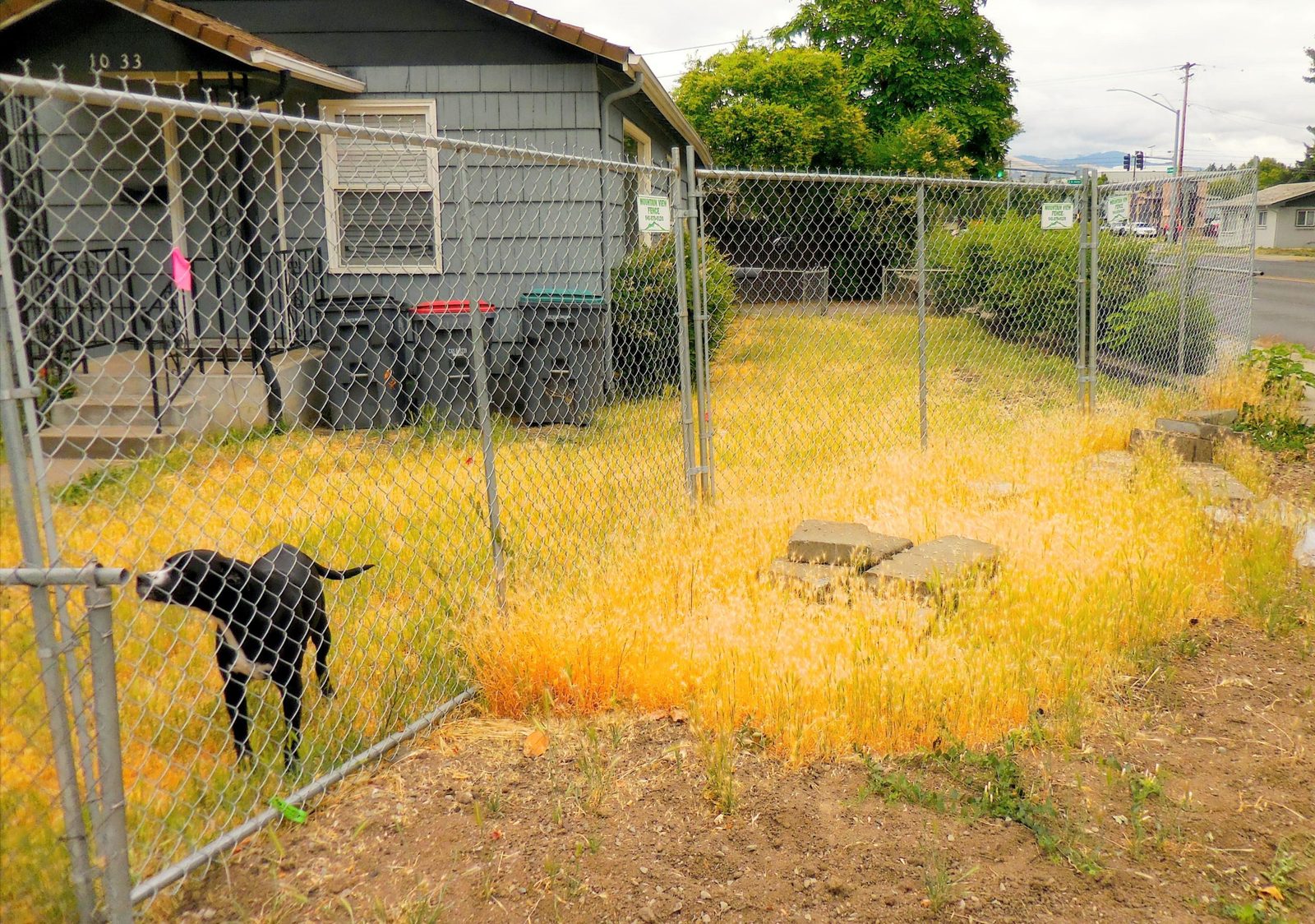 Temporary Fencing for a Residence